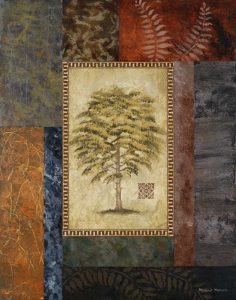 Eucalyptus Tree II