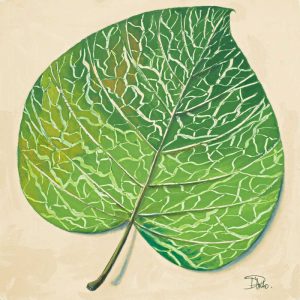 Veins of Green Leaf on Cream II