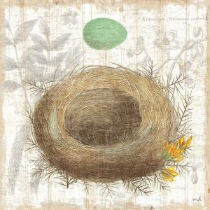 Botanical Nest II