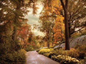 Azalea Garden in Autumn