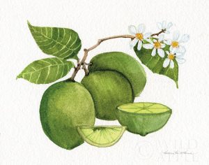 Citrus Garden IV