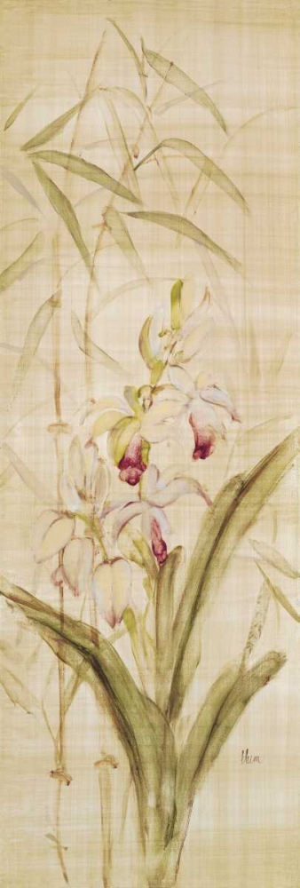 p 5025 80B 7 Orchids II