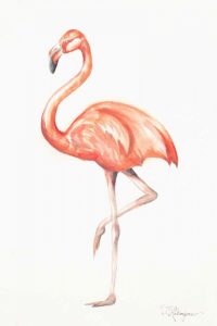 Flamingo Duo II
