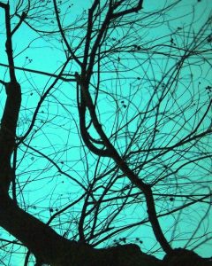 Branches on Teal II
