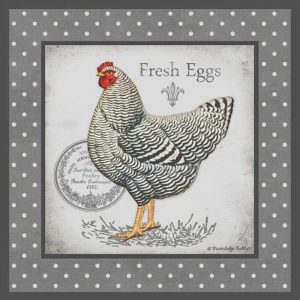 Farm Fresh Eggs II