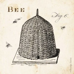 Bee Hive Fig 6