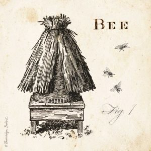Bee Hive Fig 7