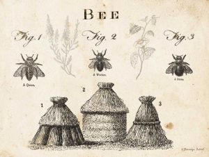Bee Chart I