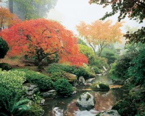 Japanese Garden I