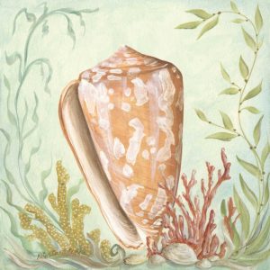 Seashells and Coral IV