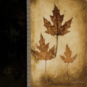 Maple Leaves III