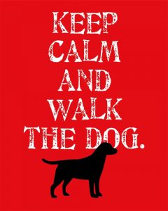 Keep Calm – Labrador