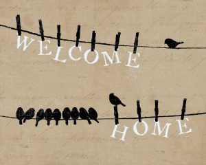 Birds on a Wire – Welcome Home