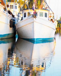 Shrimp Boats Savannah