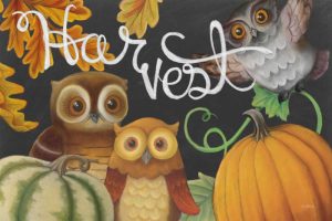 Harvest Owl IV