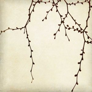 Branches II