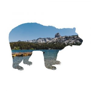 Lake Scenery Bear
