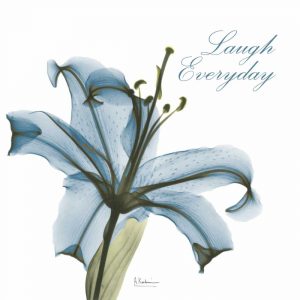 Laugh Everday Lily A36
