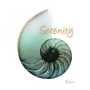 Shinny Serenity Snail 1