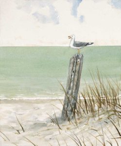Seaside Perch