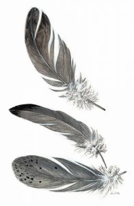 Feather Study 3