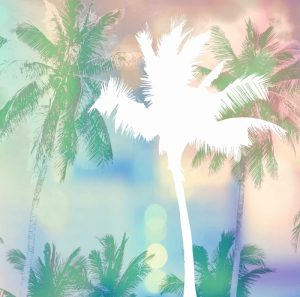 Dreamy Palm Trees