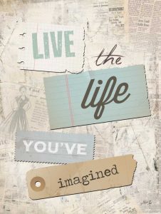 Live the Life Youve Imagined