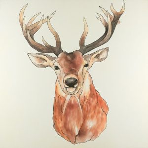 Front Deer Portrait