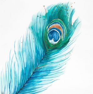 Long Peacock Feather