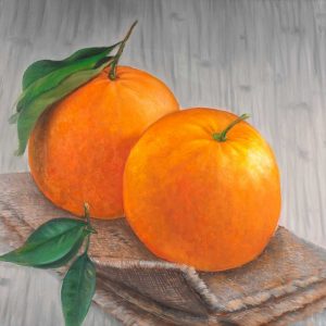Oranges Fruit