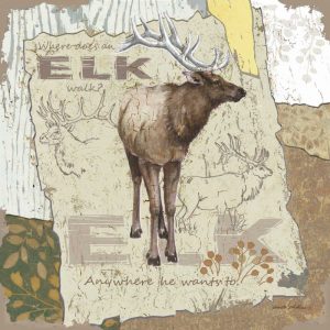Elk Walk