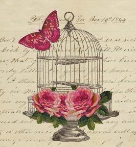 Birdcage and Butterfly