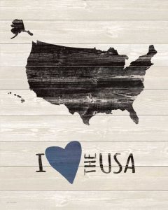 I Heart the USA