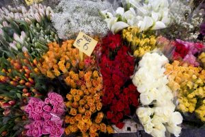 Italy, Venice Flowers for sale in a market