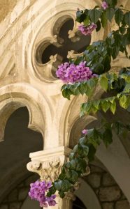 Croatia, Dubrovnik Flowers and church archway