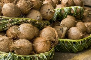 Polynesia, Kingdom of Tonga Coconuts for sale