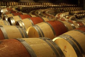 Chile, Colchagua Wine barrels in the cellar