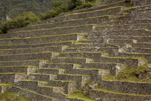Peru, Machu Picchu Agricultural terraces