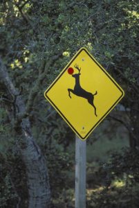CA, Rudolph the reindeer crossing sign on Highway