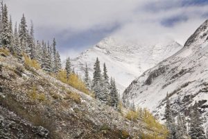 CO, Rocky Mts, Cinnamon Pass Autumn snowfall,