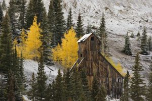 CO, Uncompahgre NF, An abandoned mine in fall
