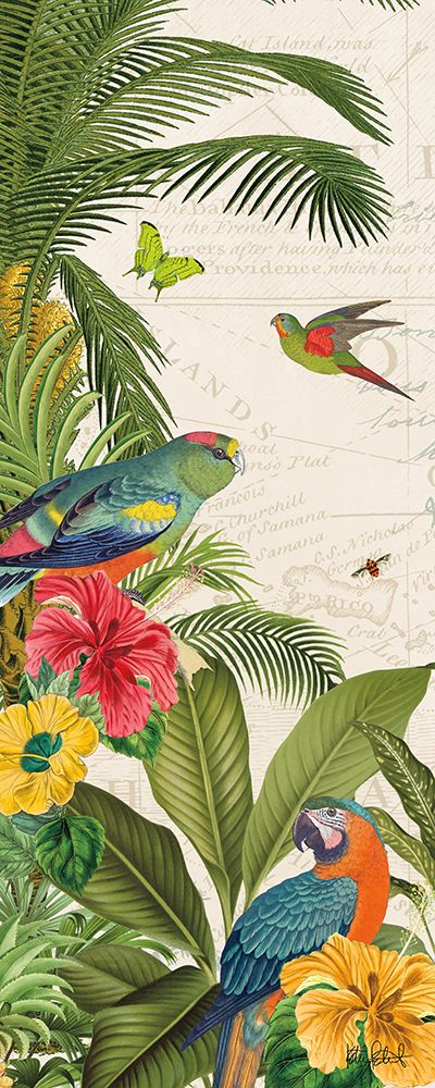 Parrot Paradise VI