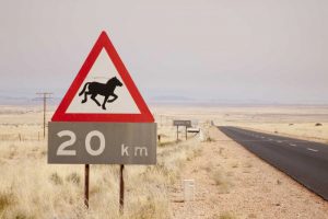 Namibia, Aus Wild horse warning sign