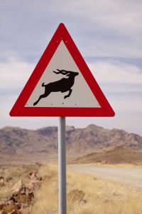 Namibia, Namib Desert, Kudu crossing caution sign