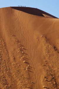 Namibia, Sossusvlei People atop a sand dune