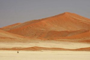 Namibia, Namib Desert Patterns on sand dunes