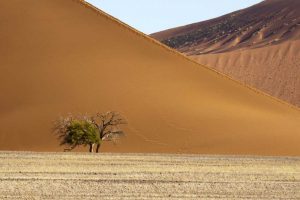 Namibia, Sossusvlei Contrasting sand dunes