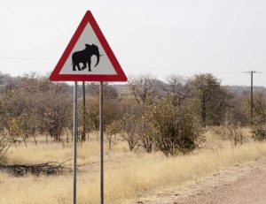 Namibia, Damaraland Sign warning about elephants