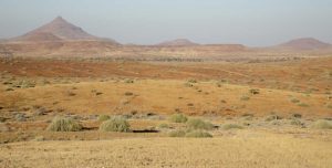 Namibia, Namib Desert, Desert landscape