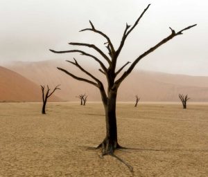 Namibia, Deadvlei Unusual rainy weather